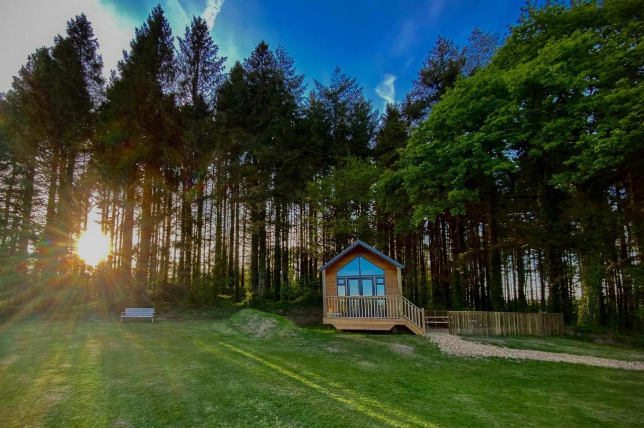 Cabin In The Woods - 1 Bedroom Lodge - Kilgetty Stepaside  Exterior foto