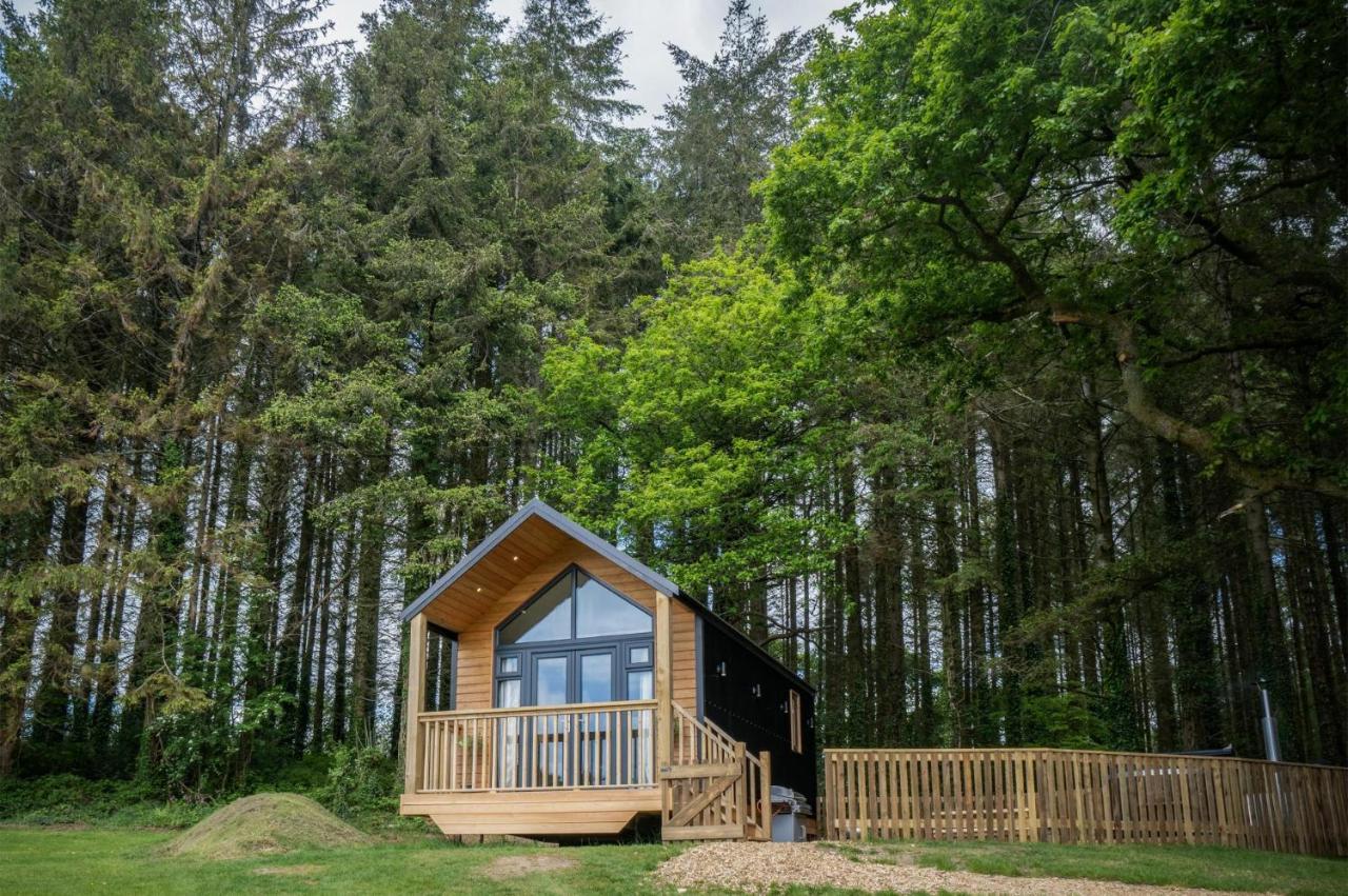 Cabin In The Woods - 1 Bedroom Lodge - Kilgetty Stepaside  Exterior foto