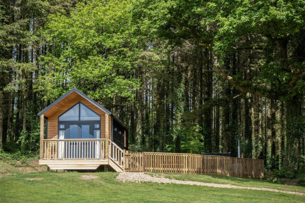 Cabin In The Woods - 1 Bedroom Lodge - Kilgetty Stepaside  Exterior foto