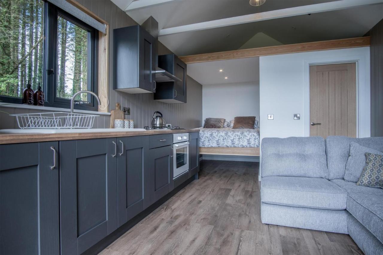 Cabin In The Woods - 1 Bedroom Lodge - Kilgetty Stepaside  Exterior foto